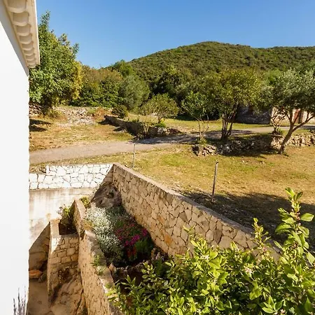 Apartment Orlando Zrnovo